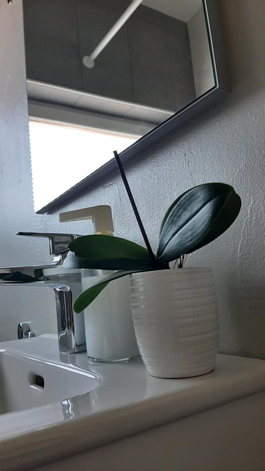 Apartma Vila Tara Prebold Zewnętrze zdjęcie